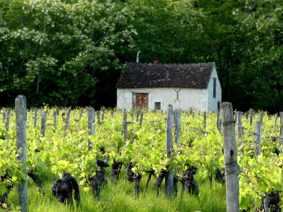 Maison De Bourg Paisible Parcay-sur-Vienne Buitenkant foto